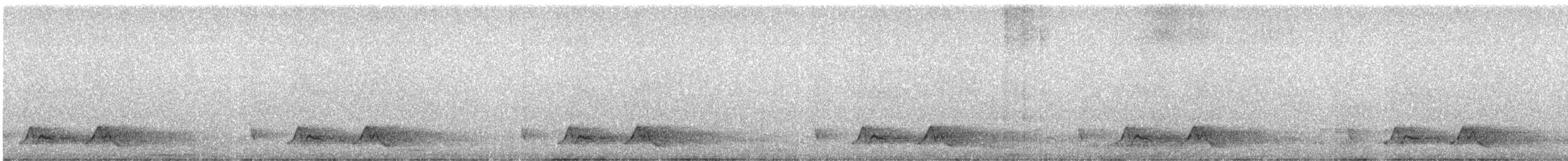 Chuck-will's-widow - ML441014471