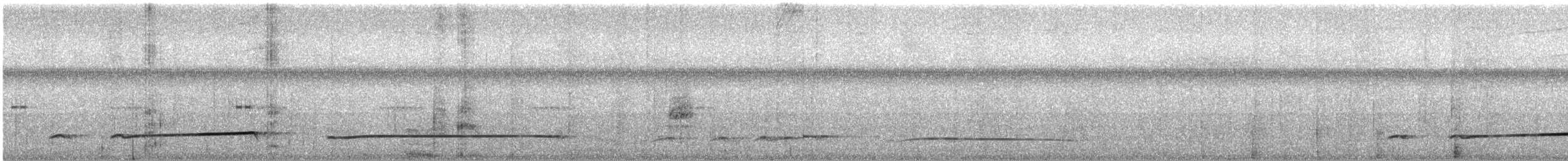 Лінивка-смугохвіст західна - ML441070031