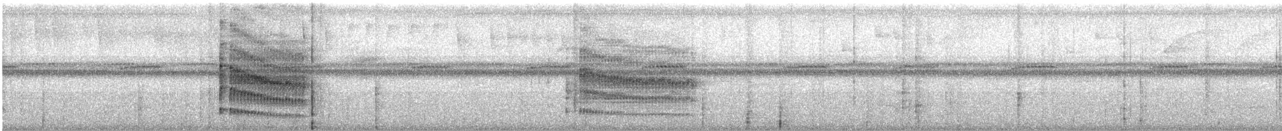 Black-and-white Tody-Flycatcher - ML441071881