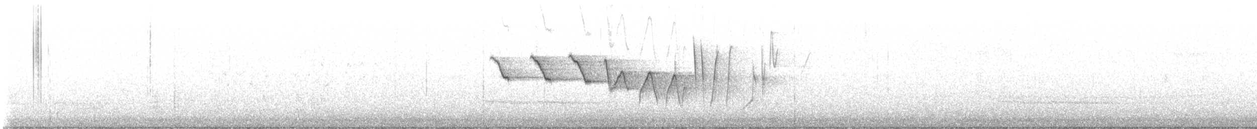 strømparula - ML441082691