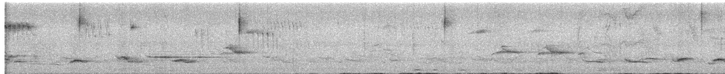 Tohi de Cabanis - ML441104241