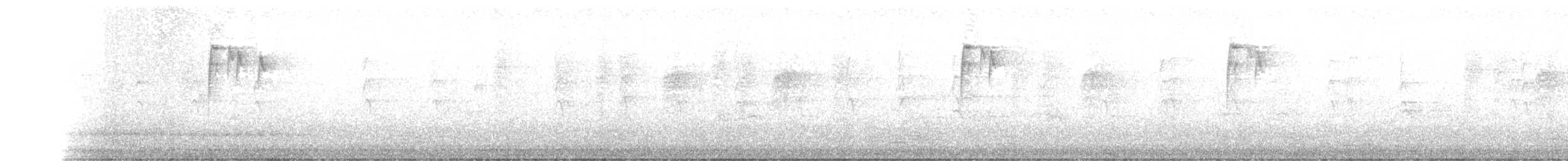 Корольковая шипоклювка - ML441128141