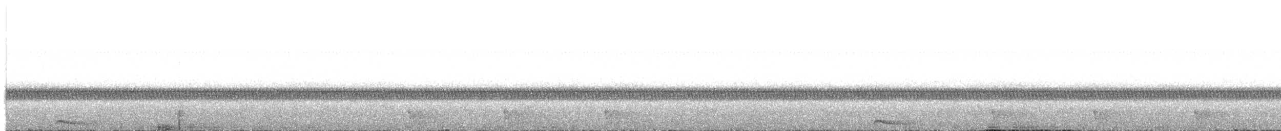Halsband-Zwergohreule - ML441144021
