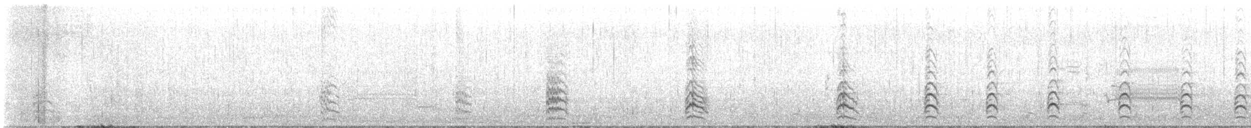 Black-necked Stilt (Black-necked) - ML441200991
