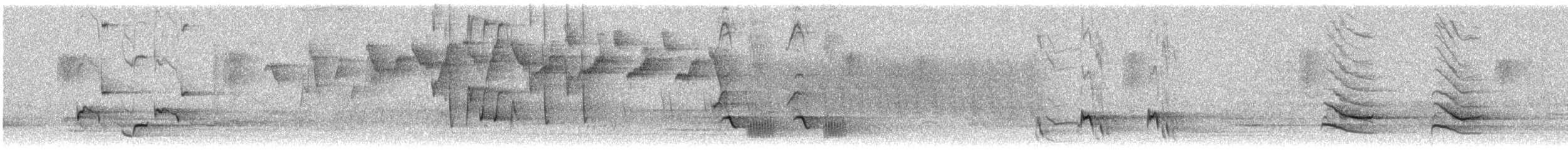 Brown Thrasher - ML441203071