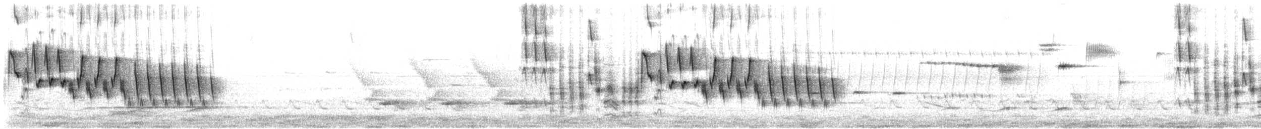 Northern House Wren - ML441211961