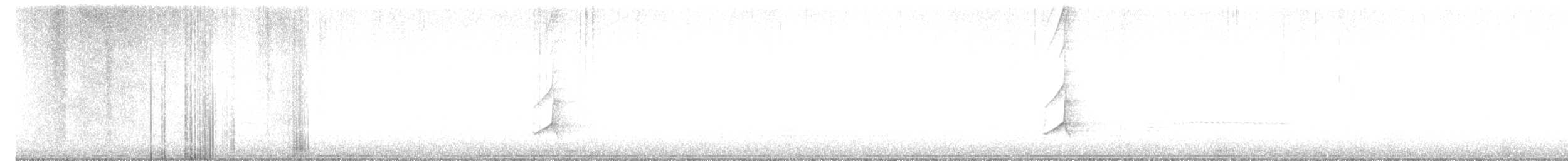 Sarı Karınlı Sinekkapan - ML441225011