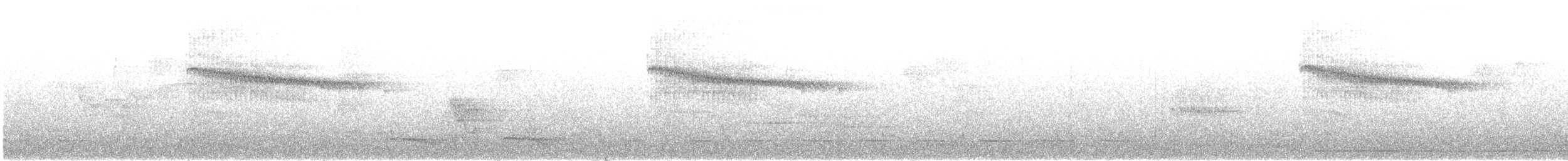 hvitskjeggdovenfugl - ML441236431