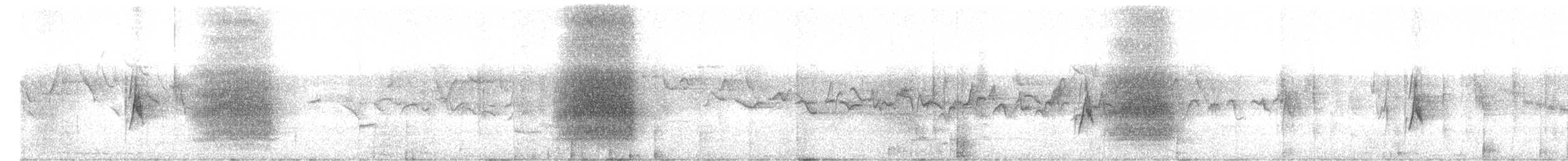 Arrendajo Cabecinegro - ML441245681