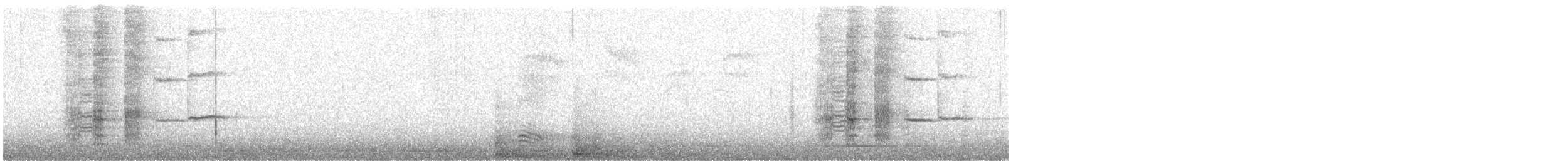 Purpurgrackel (quiscula/stonei) - ML441259081