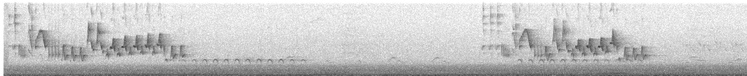 Northern House Wren - ML441283161