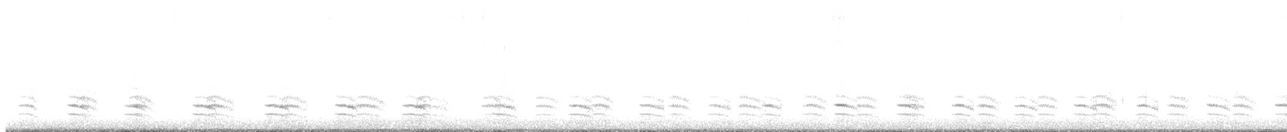 Weißbrustkleiber - ML441310671