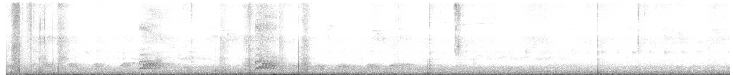 tanımsız karga (Corvus sp.) - ML441343661