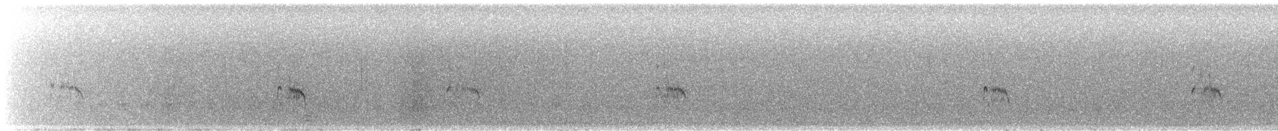 Kara Karınlı Kumkuşu - ML441457601