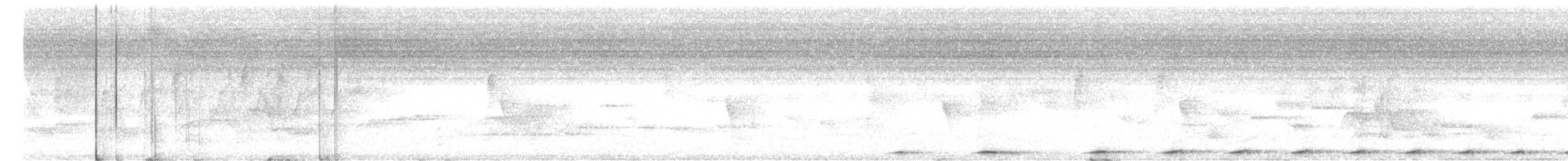 småbrundue (nigrorum) - ML441491151