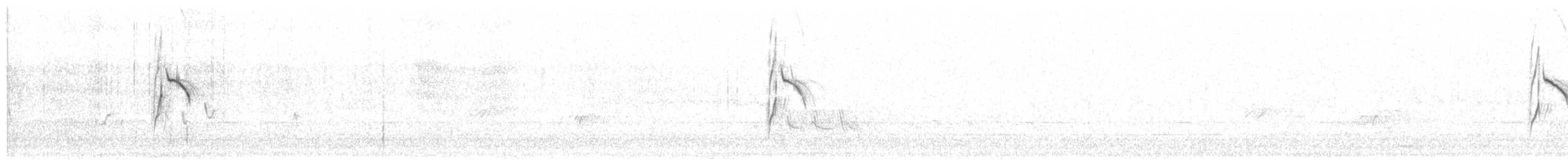 Lavandera Boyera (flavissima) - ML441512011