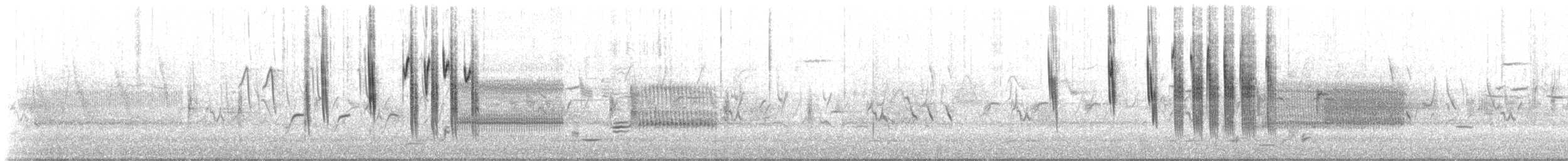 Sedge Wren - ML441523951