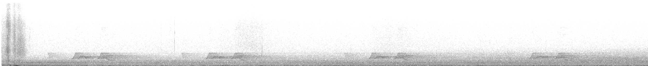 Carolinanachtschwalbe - ML441573621