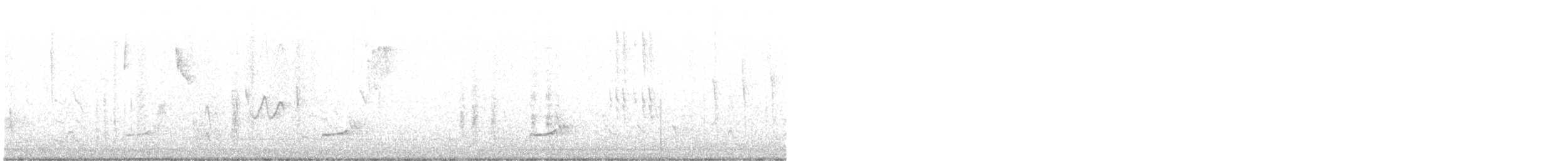 nordkrattvaktel (virginianus gr.) - ML441588281