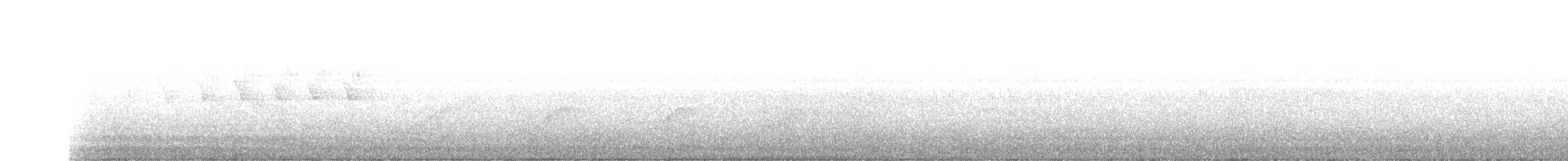 American Robin - ML441645931