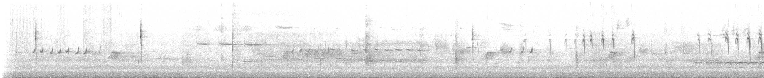 Palm Warbler (Western) - ML441673181