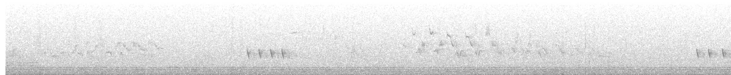 Тауї плямистий - ML441677861