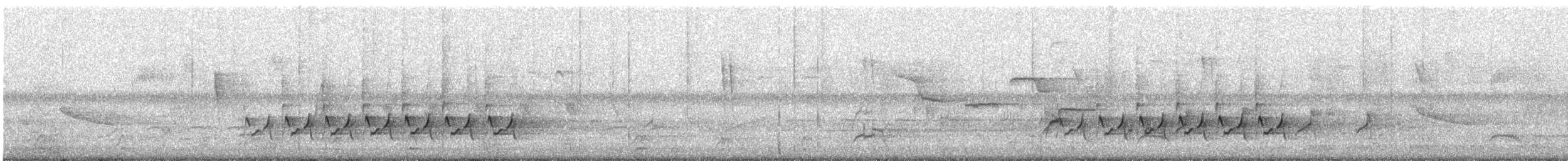Каролинский крапивник - ML441703171