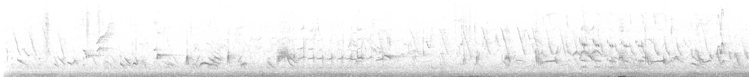 Langschnabel-Spottdrossel - ML441704361