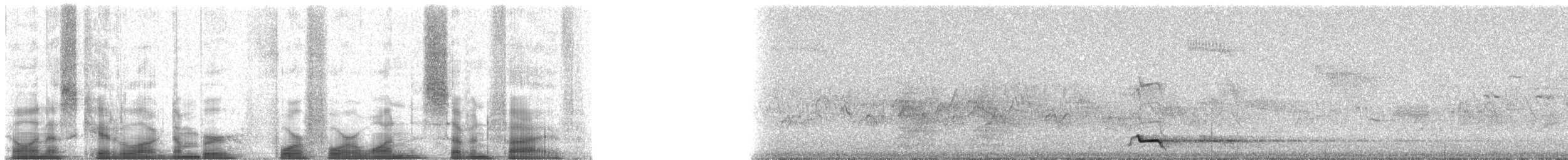 Mountain Quail - ML44175