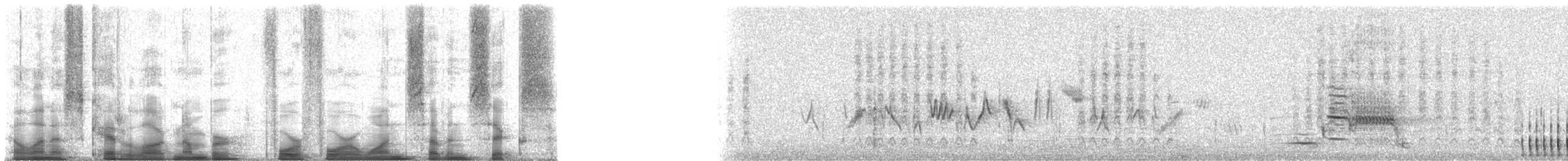 Hairy Woodpecker - ML44176