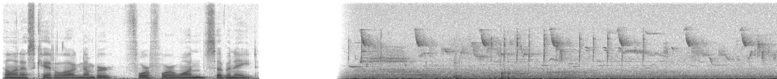 California Quail - ML44178