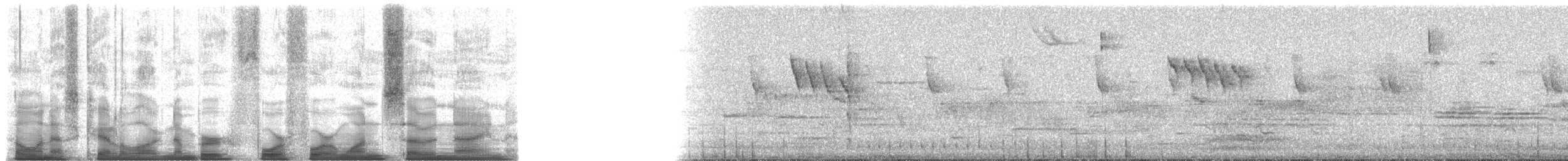 Oak Titmouse - ML44179