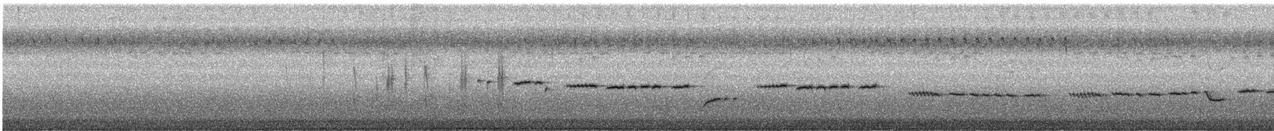 Gray Gerygone - ML441802441