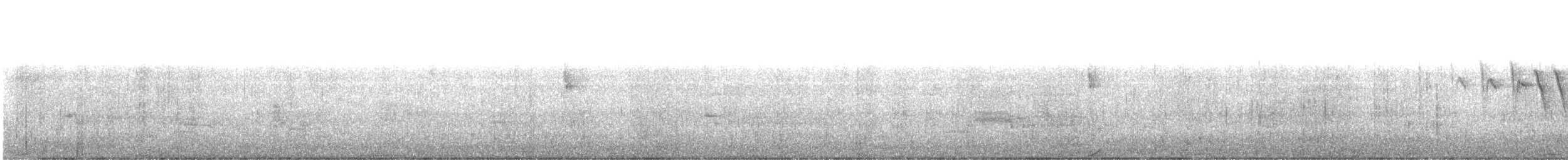 Yellow-rumped Warbler - ML441806121
