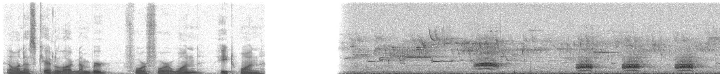 Common Raven - ML44181