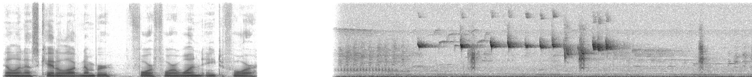 Bullock's Oriole - ML44184