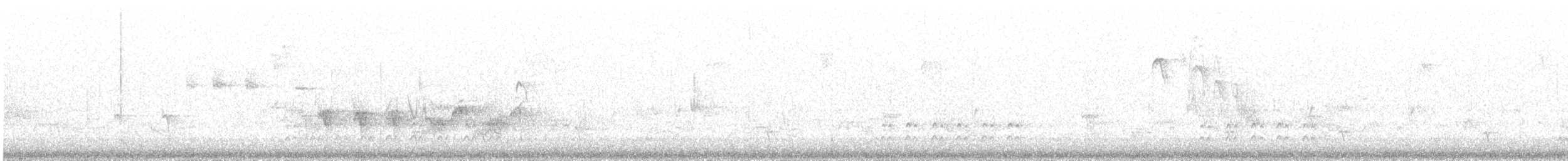 Шишкар ялиновий - ML441849201