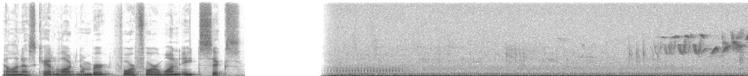 Bullock's Oriole - ML44186