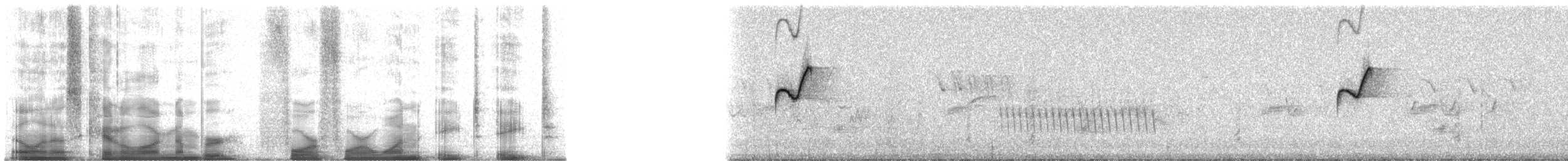 Western Flycatcher (Pacific-slope) - ML44188