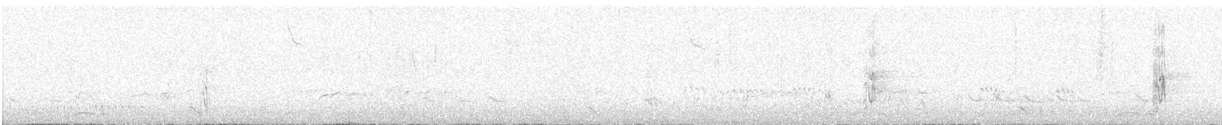 Red-winged Parrot - ML441885811