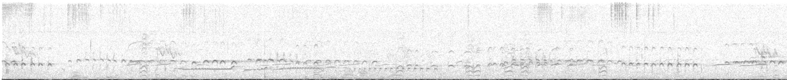 Sürmeli Kervançulluğu (variegatus/rogachevae) - ML441886331