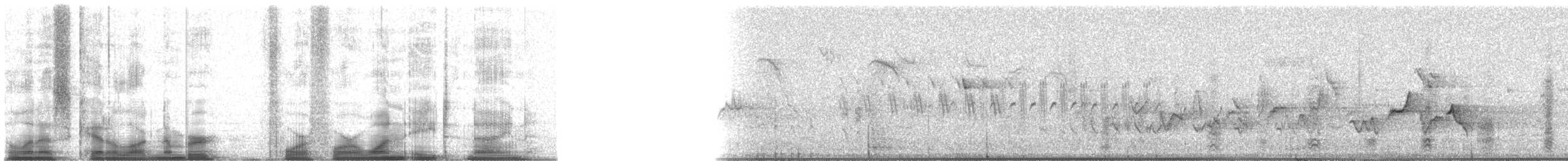 Acorn Woodpecker (Acorn) - ML44189