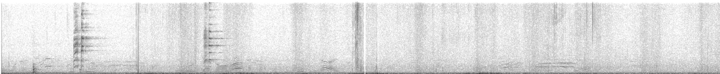Чайка білошия (підвид miles) - ML441901571