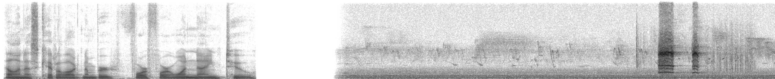 Ring-necked Pheasant - ML44192