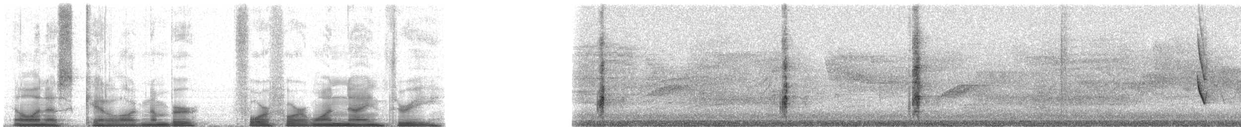 White-tailed Kite - ML44193