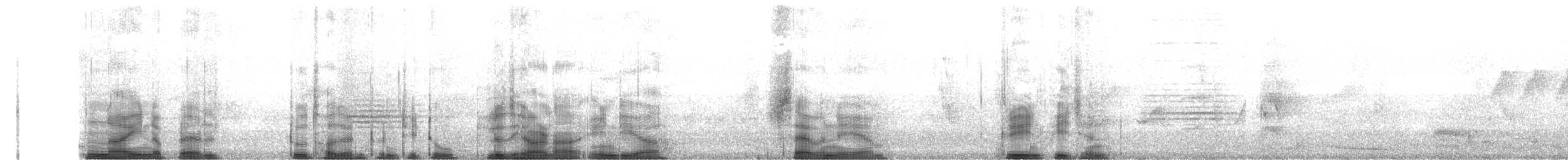 holub fialovoramenný - ML441930161