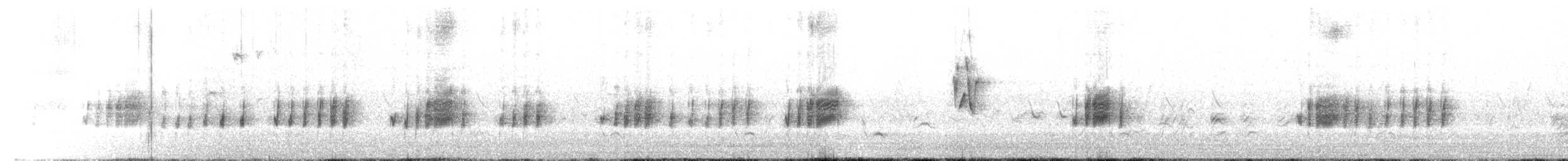 svartkinnlattertrost - ML441938991