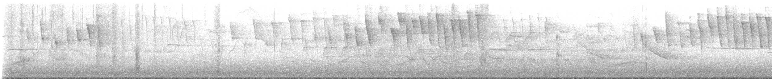 Brauenwaldsänger - ML442085921