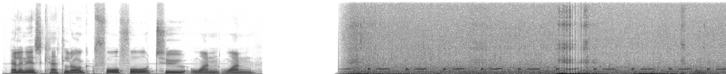 Серогрудый зобатый бегунок - ML44211
