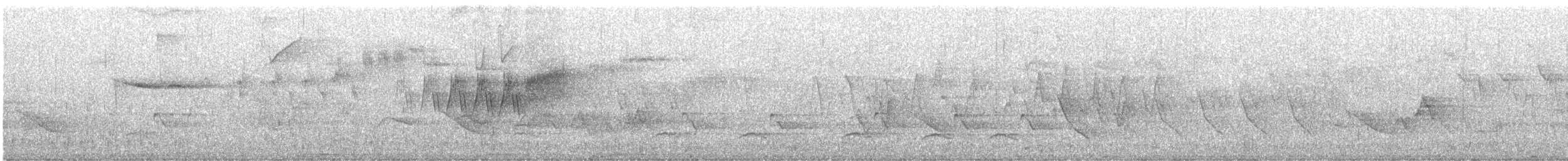 Cerulean Warbler - ML442175711